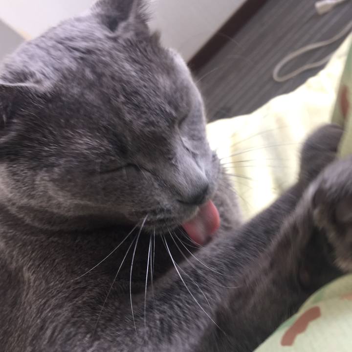 13799355 8b3f 4107 9ed1 5c751aeac01c