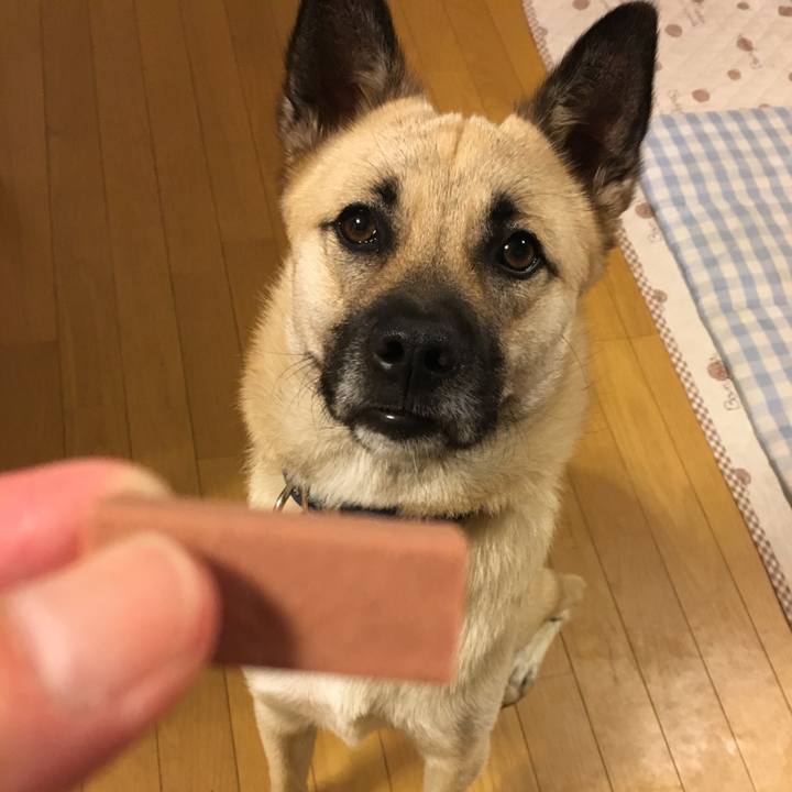 137b1abd fbaf 45ce 9b2b b3be0c25c5d7