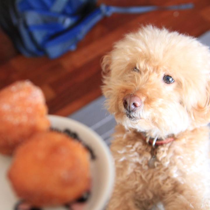 137b2898 52b0 445f 99ca f88f355418ee