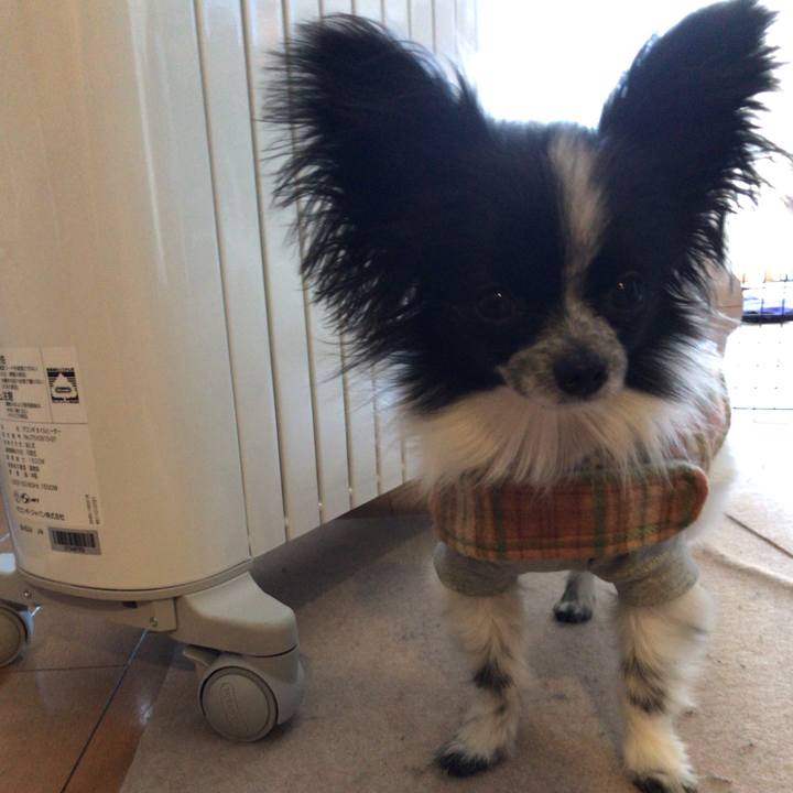 137b69eb 9944 4c6d 8d4a 9b542879ee51