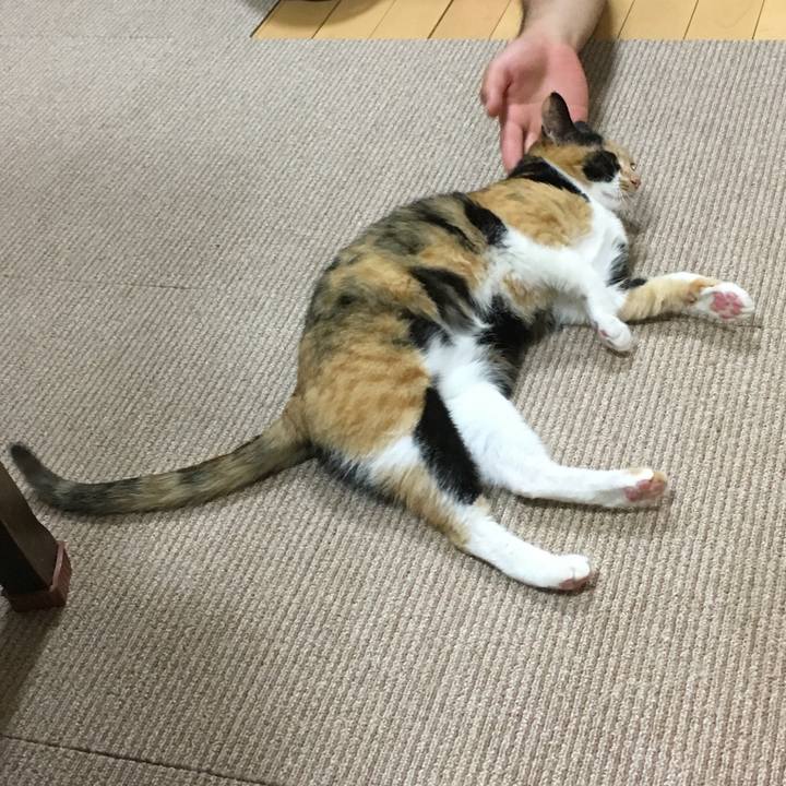 137ba892 86c7 45bb 9939 6fd4ebbcccfc