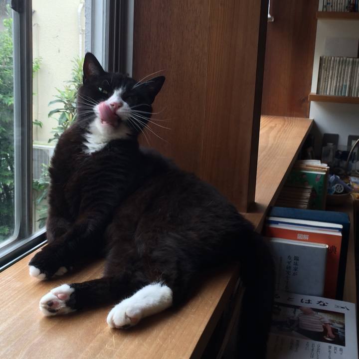 137bda66 b801 4faf b999 451bb5dee157