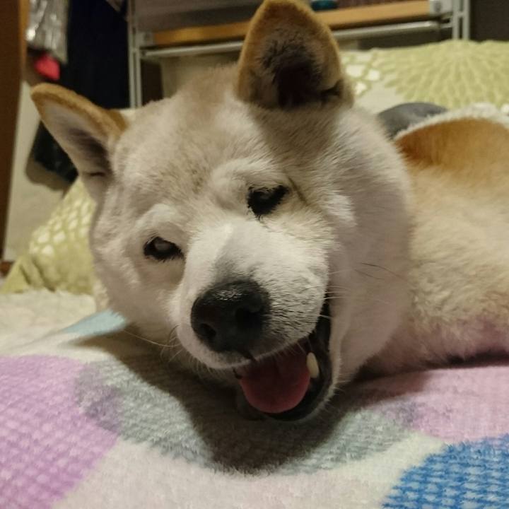 137bf1e8 49fc 4e58 b4b1 36fce9968c93