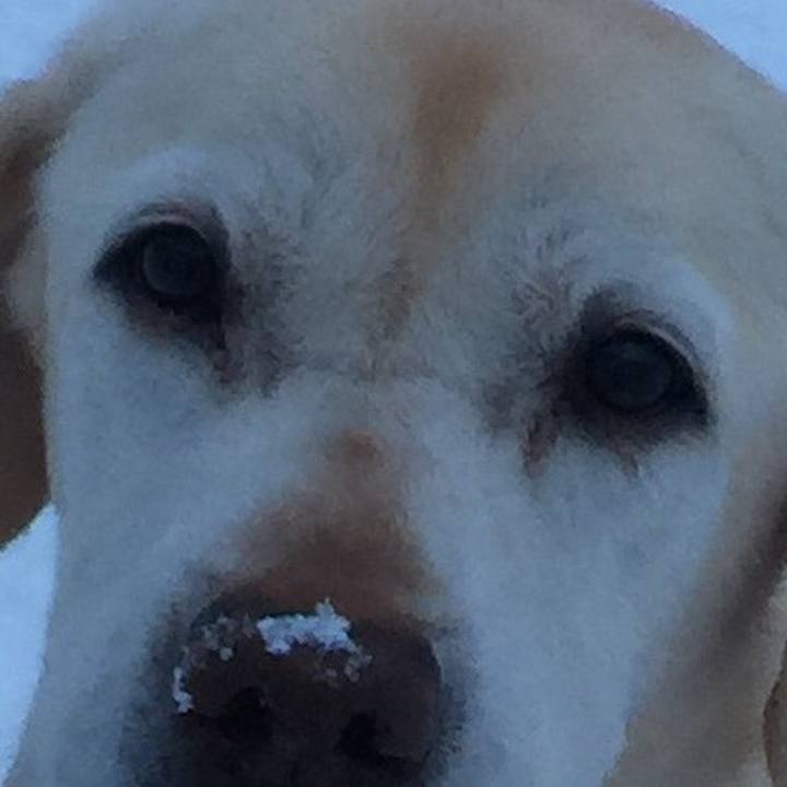 137cbab4 a681 4afc 9575 6ae5194bd887