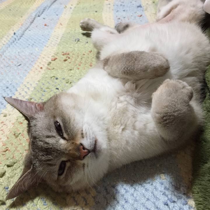 137cc1b0 d96c 4ab3 8375 1ef89f042812