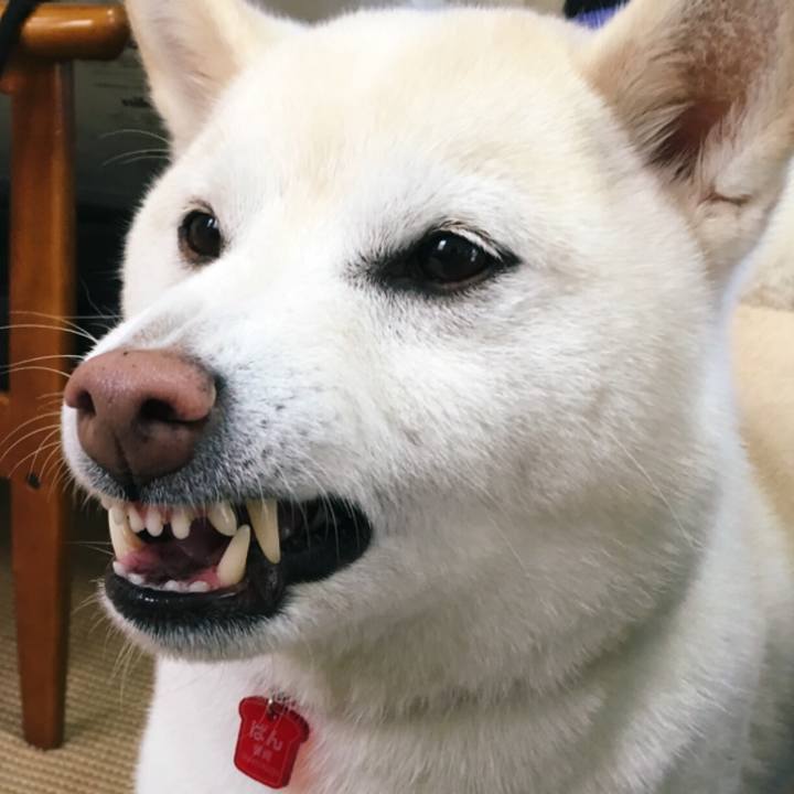 137cc370 3393 44c2 a745 9d0c12a717d3