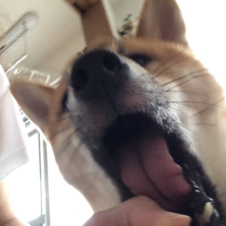 137cef96 83b3 480c 9a29 b9a54f77a535