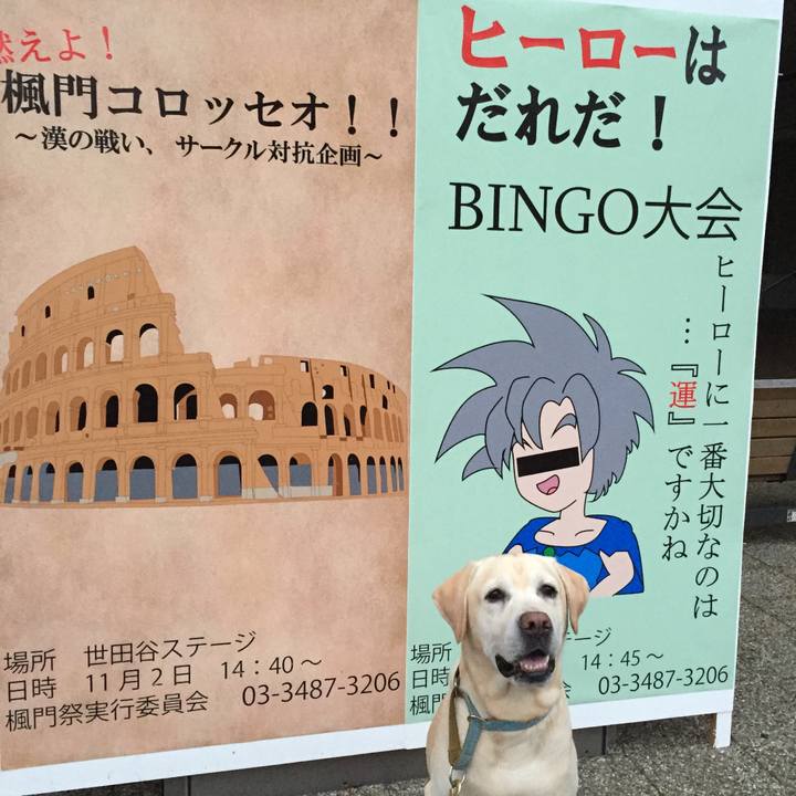 137d5c7e 07c5 4e23 b027 9fb3e383a0c5