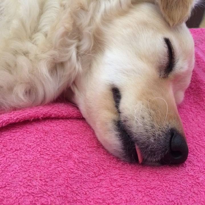 137d8552 017b 4699 a009 2c0215ea52a4