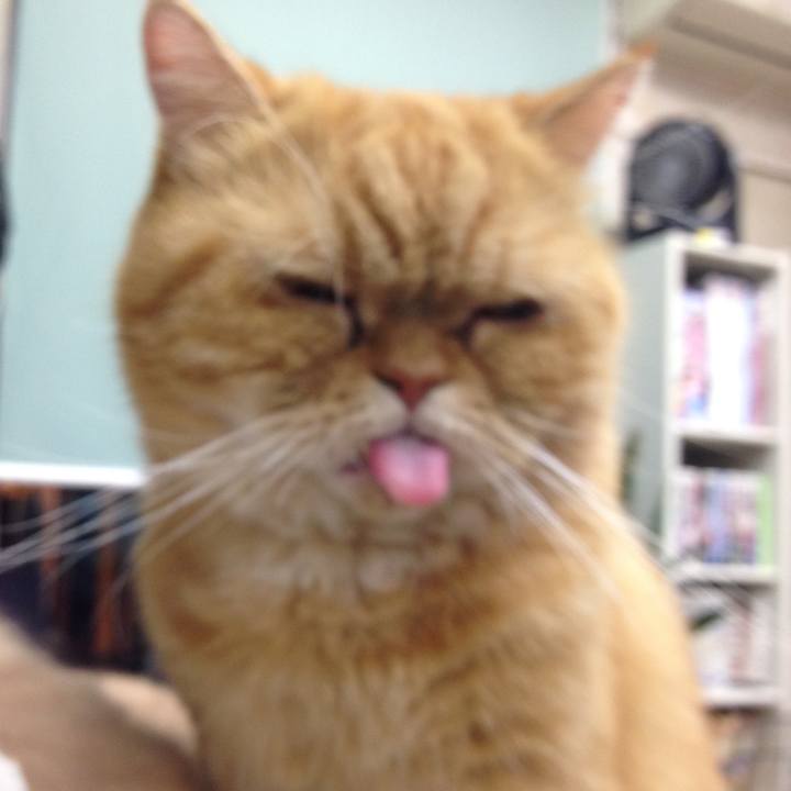 137e22ab 3867 4947 b96b a857466cda82