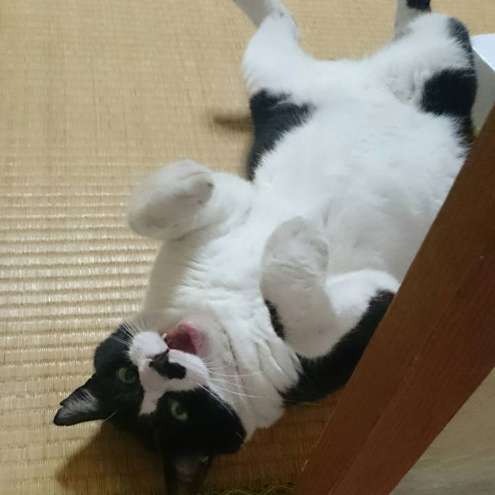 137e3f6e 1e2c 44e8 8f3c 9f8d694bcaea