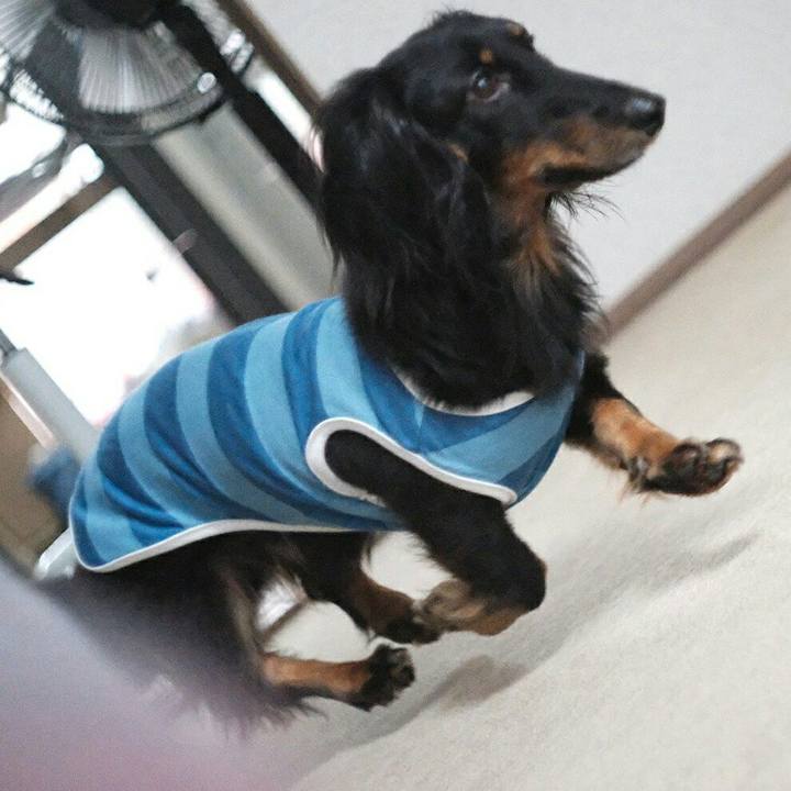 137e5a52 6732 4323 942a 5ef8a8005db5