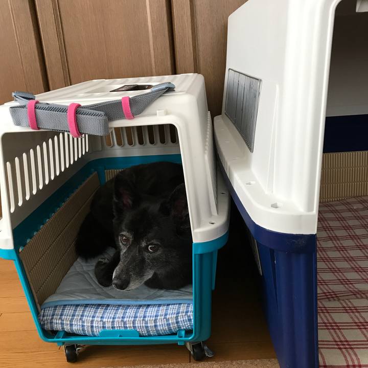 137e9d81 e235 4553 842f 41908f29109a