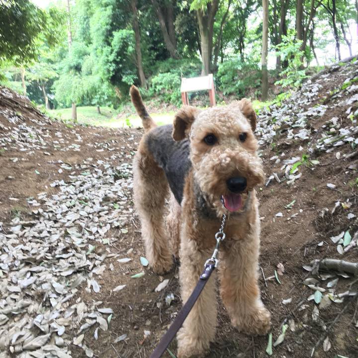 137ec933 6fc0 4cda b0e4 ad33b035e782