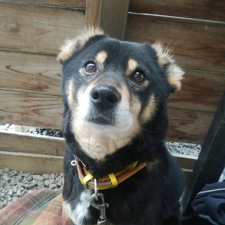 137f15f1 85b8 4484 9769 892047e03d05