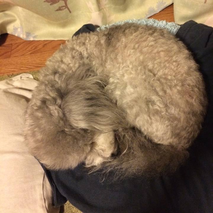 137f2b73 7f32 4137 bbbc bf9a85a684f1