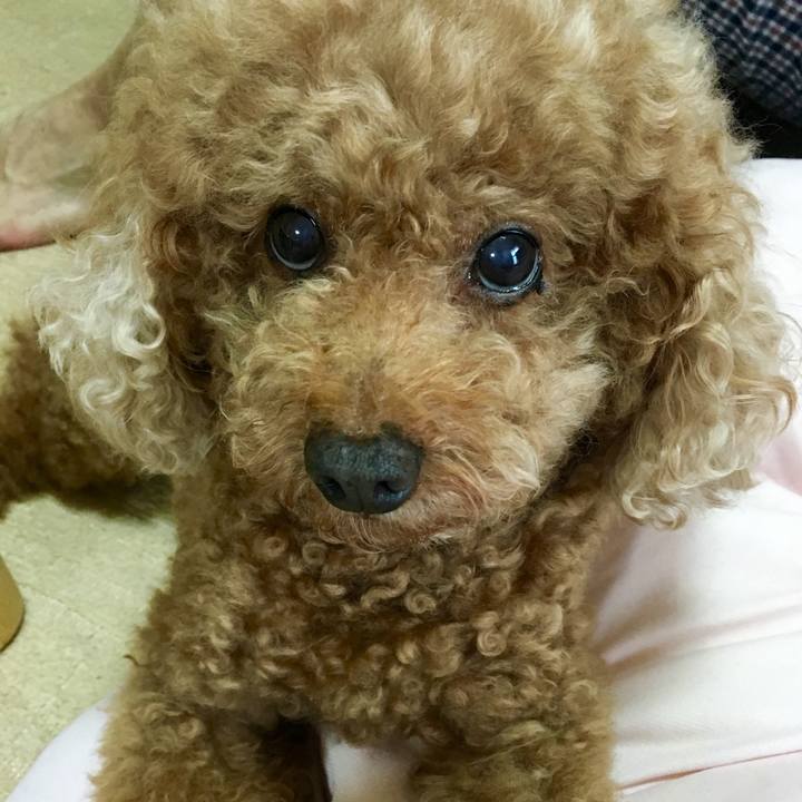 137f2f4d fbe5 48fa 9b12 590ce1677ae2