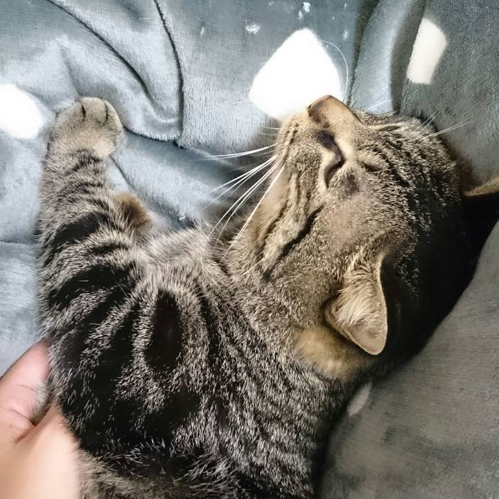 137f8be4 c2a2 4b09 9df3 9b6866eb0b2d