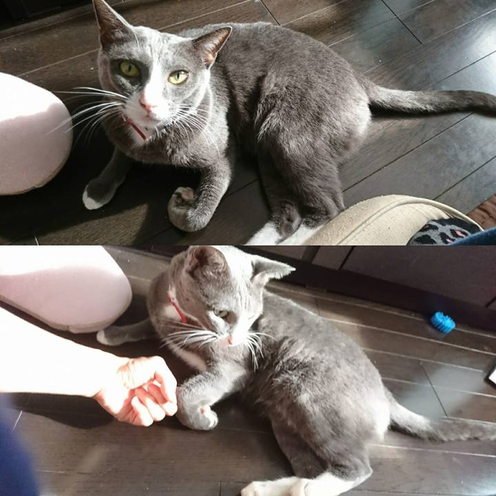 137fc00d d489 400c 9860 f54e29570f4f