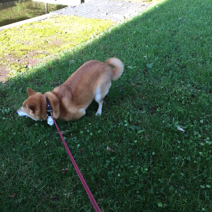 137fd1dc 645f 44ce bfeb 39b7c50db453