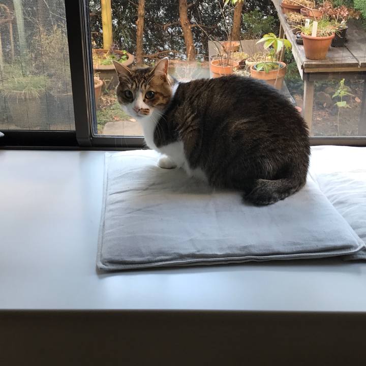 137fec3a 139a 46e4 afa5 378c6683a1e6