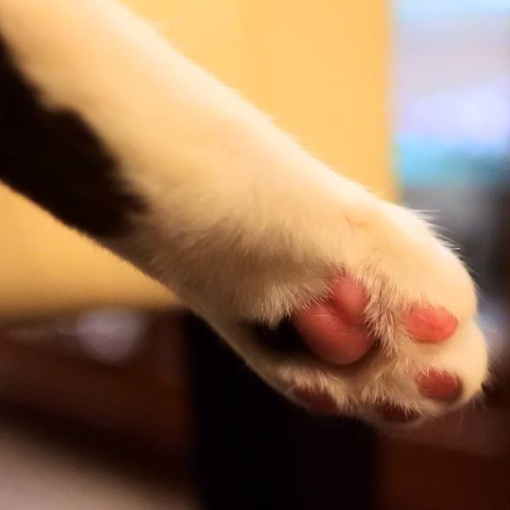 13808b33 a5c6 4620 93e5 e3ebc65e9bcd