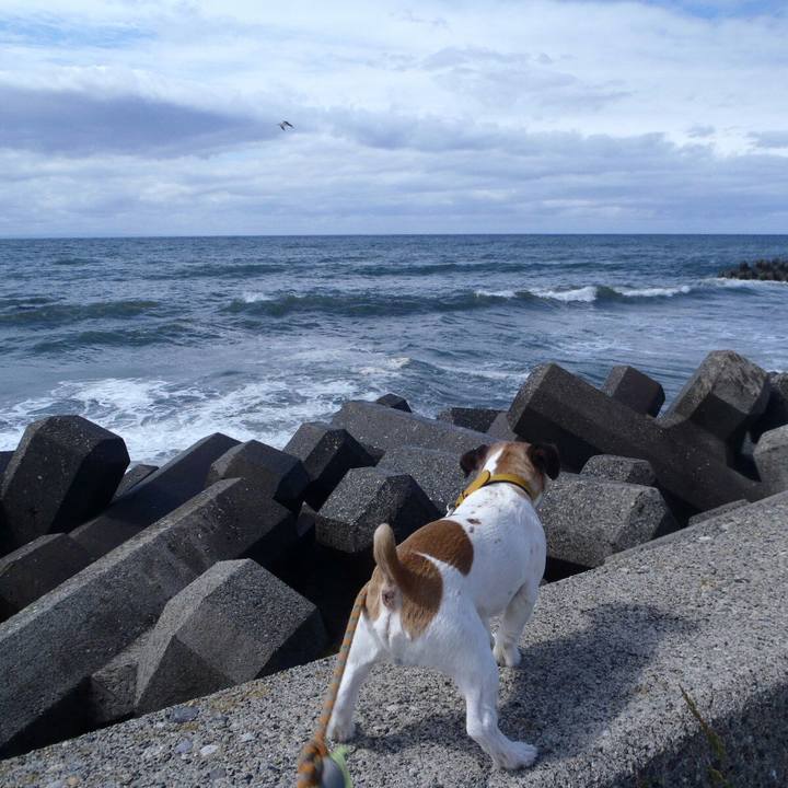 1380904b d865 48d3 aded e54653031517