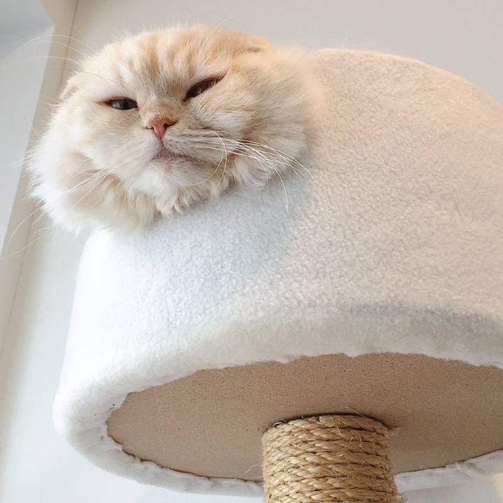 1380af6b 24a5 44fa b192 6f8e3b94789b