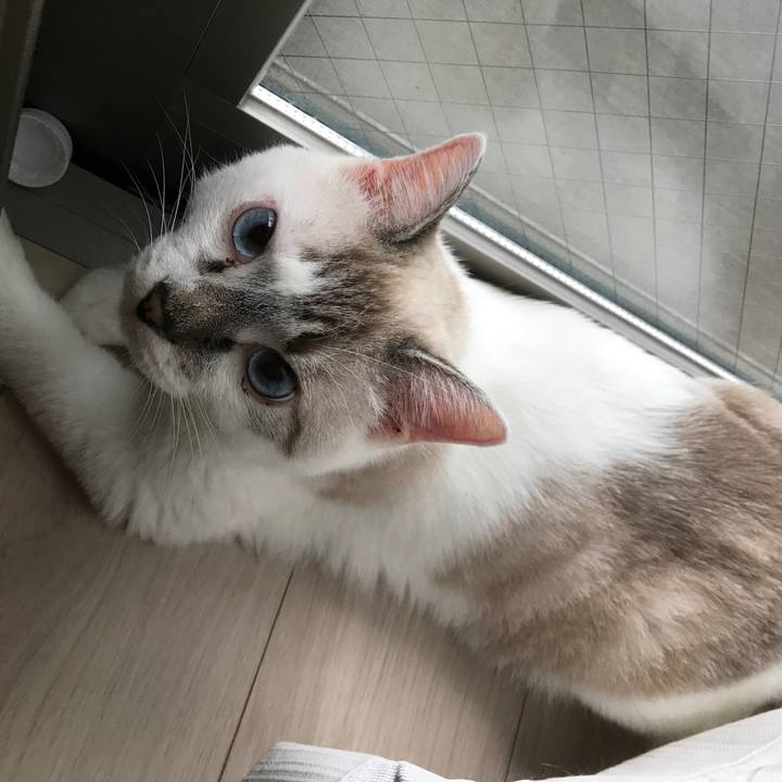 138165d9 c690 44fe a135 9900678f28bc