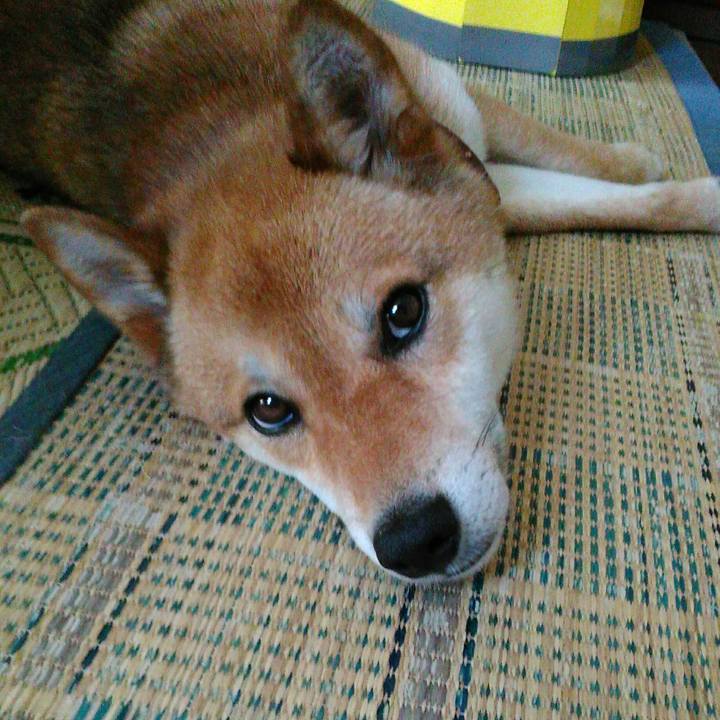 1381df1c 904f 447e 92ad 7b3233ea8fbd