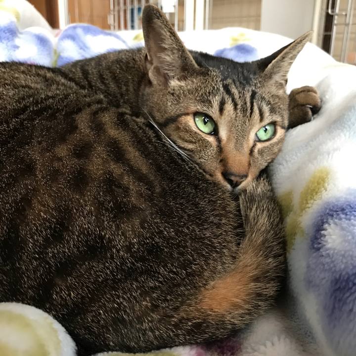 1382405e f179 46e5 ae5f 8c951a2d3e22