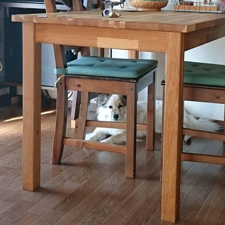 138295cf c1b8 457a 8127 2e428286b357