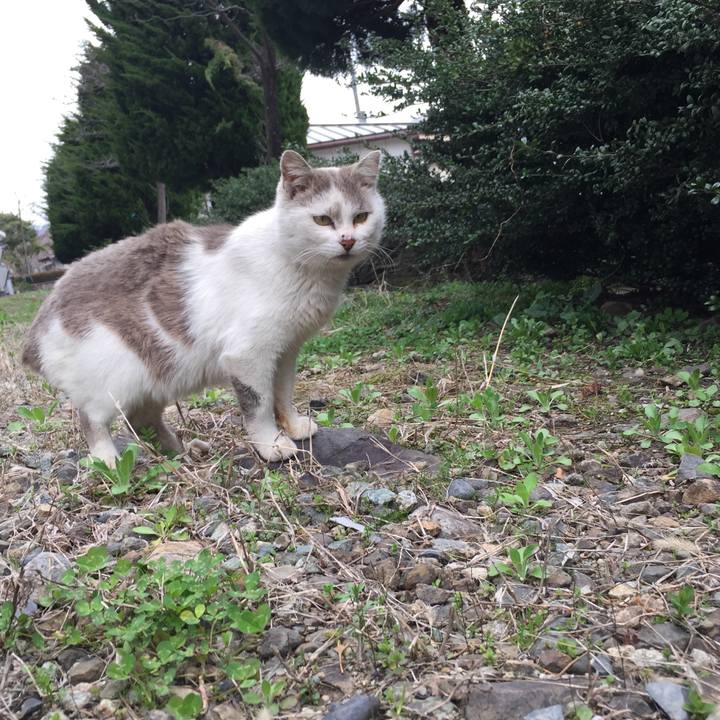 13829d8b 96be 4b4b b5d6 6ecaf7010225