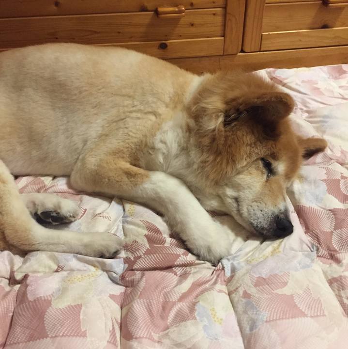 13829da3 cfdb 44e9 8a8c dbb52d435c1e