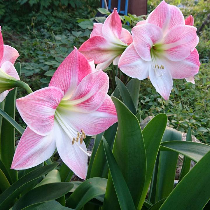 1382a6df c74d 4be4 91f5 a7fe5d861e25