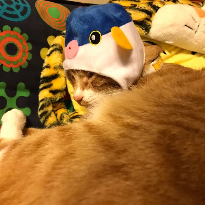 13832f6d 23d5 4a77 a64d 7e8d6663f882