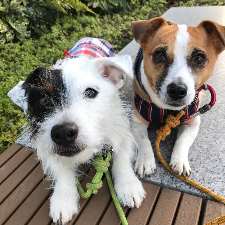 13834adf fb72 48e1 8a61 f9bf4217dc42