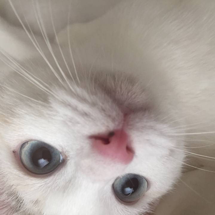 1383ba7c 3202 4287 90d2 afc6ff173477