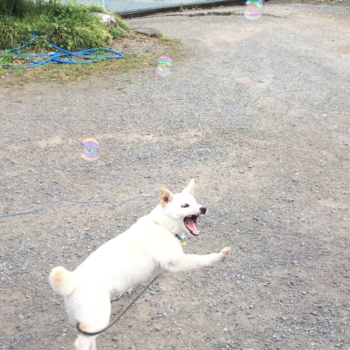 13843a4e e86f 4fb3 9a99 4154a8cb6149