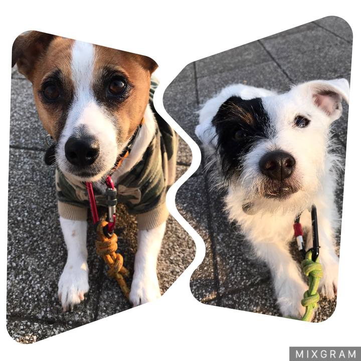 138495ea ae1d 4f2e 95ae 659cfed2f686