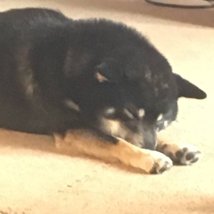 13849844 d0b3 4261 992e f9aaab84e89e