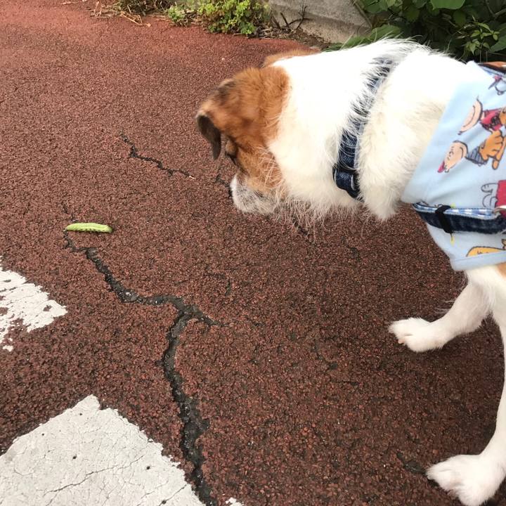 13849e5e 9f81 4e2b a7cb 595c1ee05a16