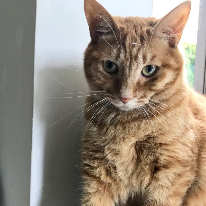 138532e0 98e3 4e8f bc18 66b0375ebb1c