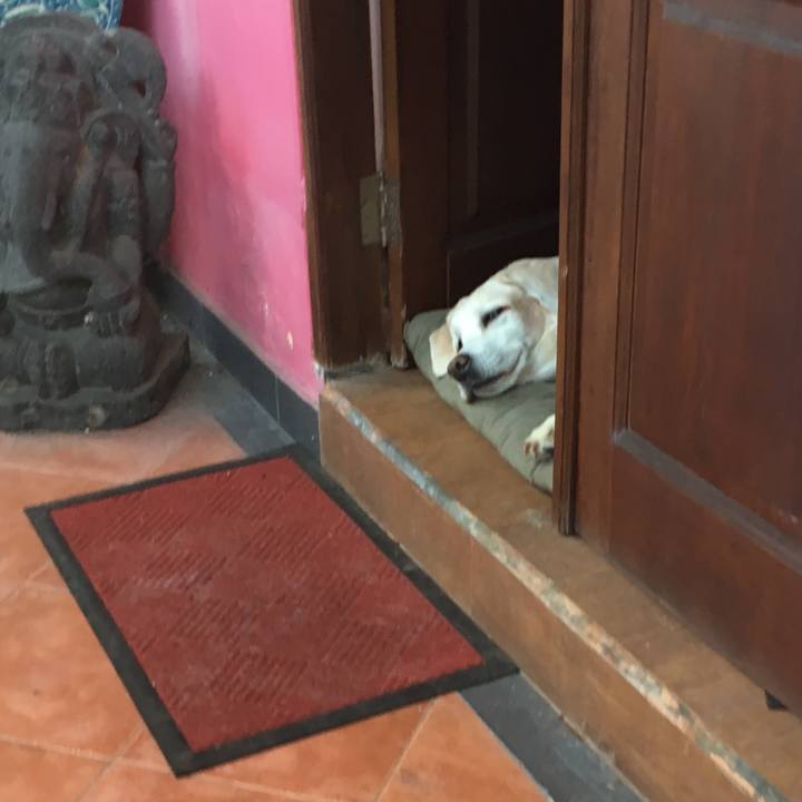 13863377 c54e 4771 b9b8 400f540d9d1b