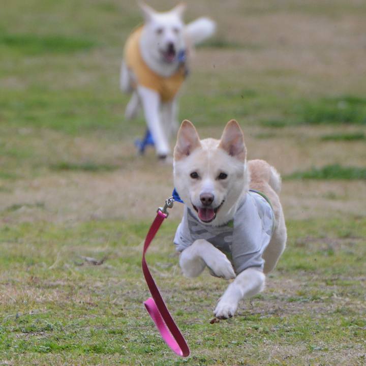 1386bb81 7d25 4456 96ac 36a660b08885