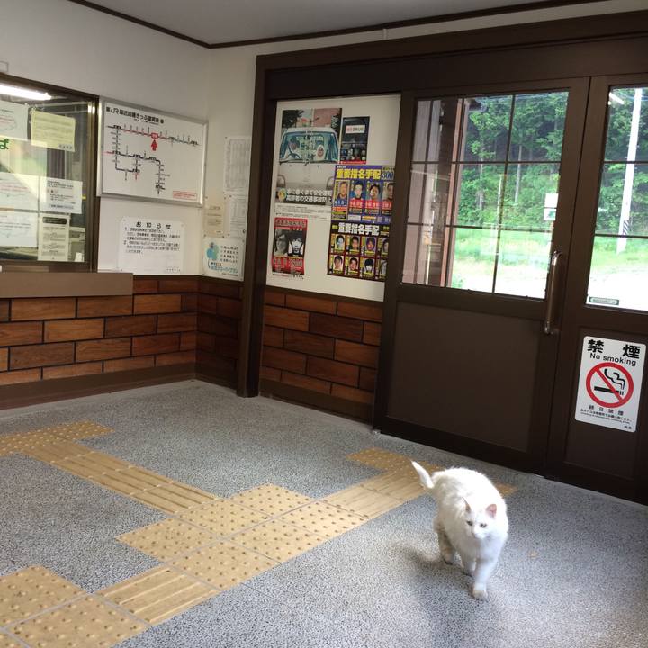 1386dd46 12a5 42b3 898f 008597581560