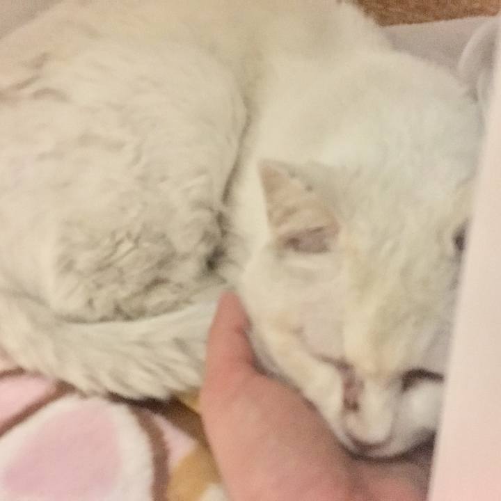 138722d5 695f 4007 afde 19629bbb3476