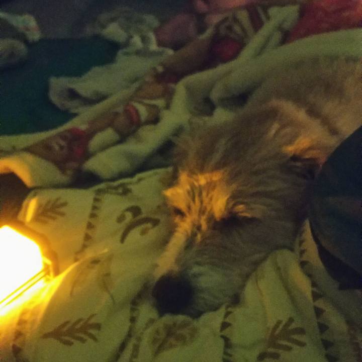 13878b64 76fb 4647 afb6 cff63e3c47f2