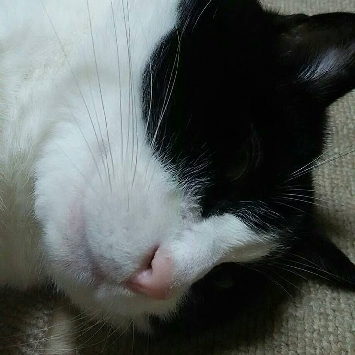 13880a60 edb9 4dbf 8725 1eebf07a8b34