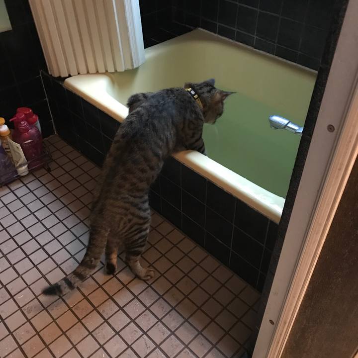 138912d8 8532 4446 a21f dce361062ea9